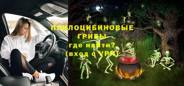 индика Анжеро-Судженск