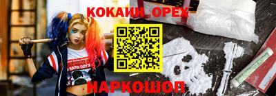 дживик Кандалакша