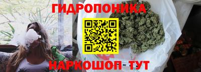 дживик Кандалакша