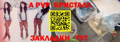ПСИЛОЦИБИНОВЫЕ ГРИБЫ Камышлов