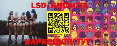 ПСИЛОЦИБИНОВЫЕ ГРИБЫ Камышлов