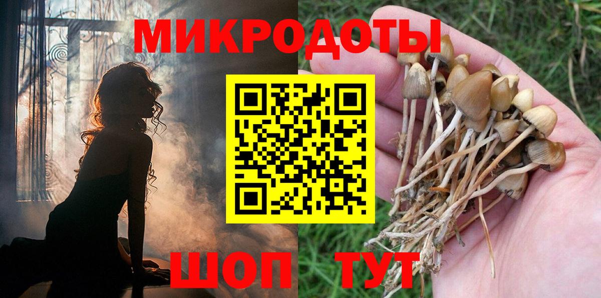 Карасук  Псилоцибиновые грибы Cubensis  Вход с VPN  Псилоцибиновые грибы Psilocybe 