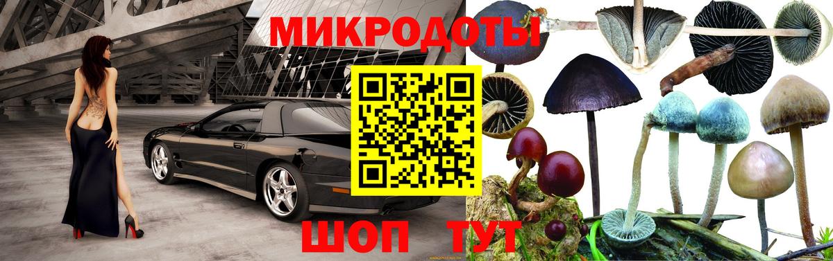 Псилоцибиновые грибы прущие грибы Карасук