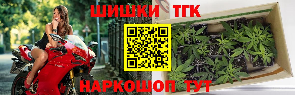 Бошки Шишки гибрид Карасук